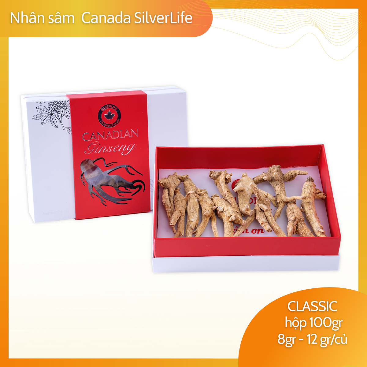 Nhân Sâm Khô Nguyên Củ| SilverLife Canadian Ginseng| Nhân Sâm Canada 5 năm tuổi| Hộp 100gr
