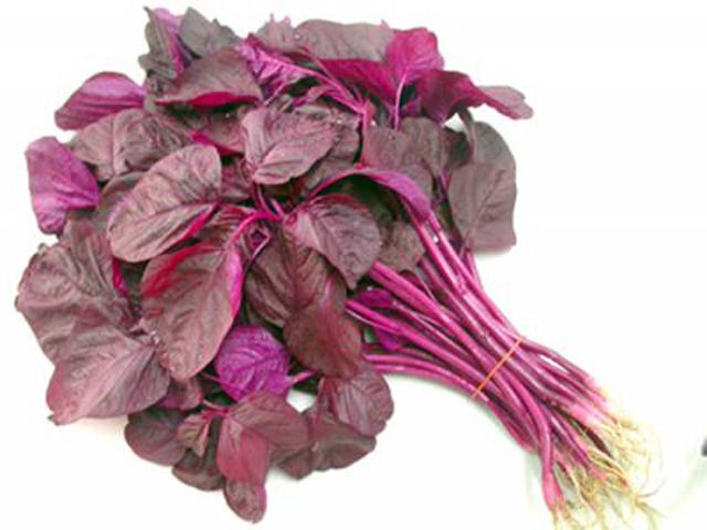 [HCM]20g Hạt Giống Rau Dền Đỏ