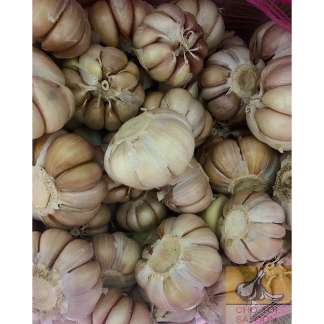 [TỎI CỦ TO ĐẸP- HÌNH THẬT] Tỏi củ 500g -1kg