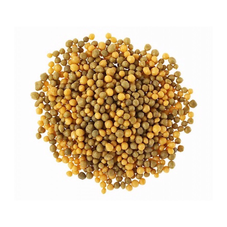 Phân tan chậm cho sen đá, xương rồng. Phân vàng OSMOCOTE (100 gr)