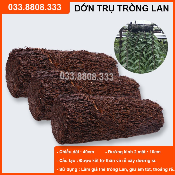 Dớn trụ ghép lan - giá thể trồng lan đã qua xử lý