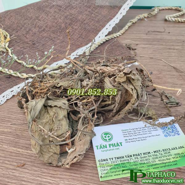 Mã đề khô 500g cao cấp - Hàng sạch xanh chất lượng cao với mức giá tốt - Thảo Dược Tấn Phát