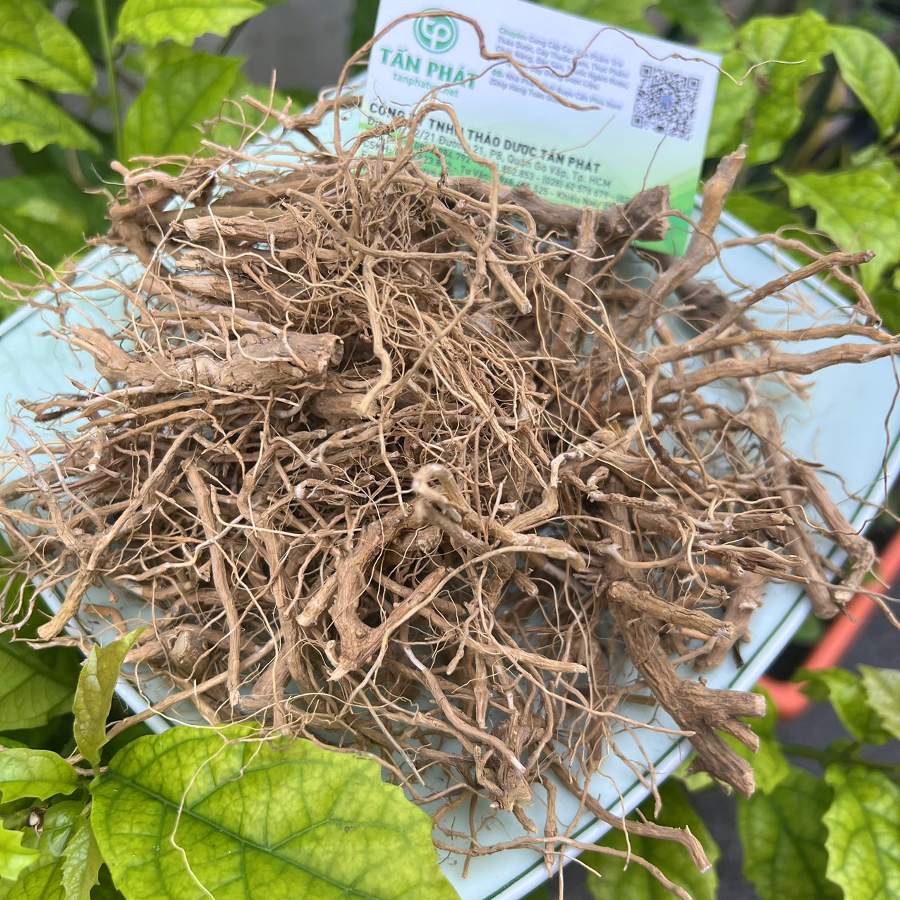 Rễ cà gai leo khô 1kg - Hàng sạch thơm cao cấp chuyên dùng để sắc nước và pha trà - Thảo Dược Tấn Phát