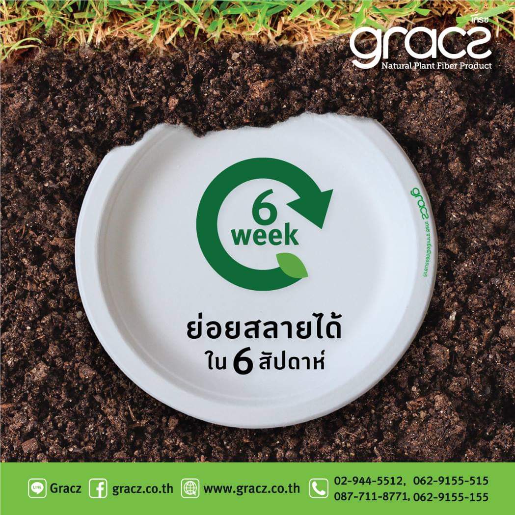 Dĩa Giấy Bả Mía 15.5cm - Hàng Thái Lan - 10 Cái