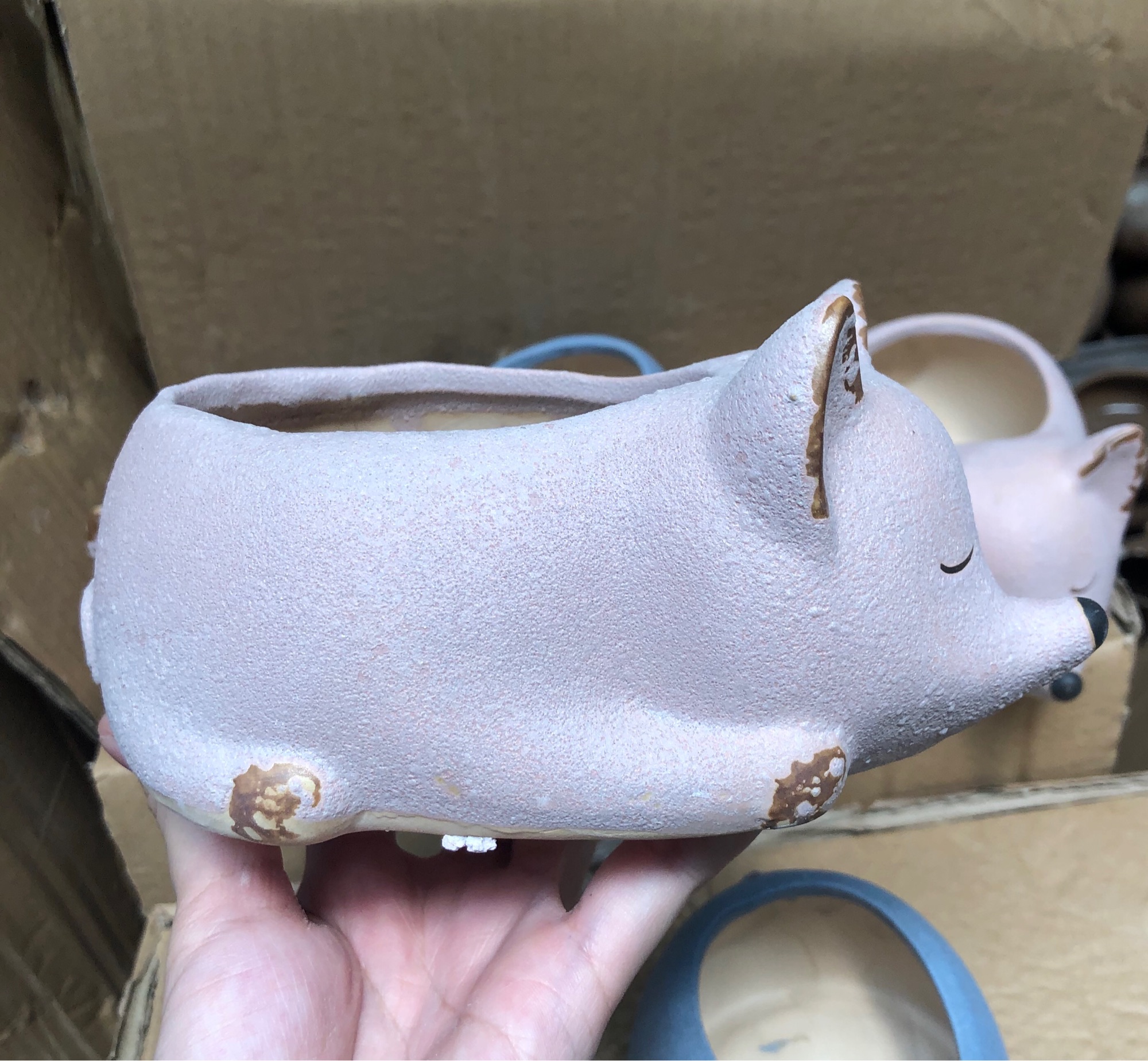 Chậu sứ trồng sen đá xương rồng