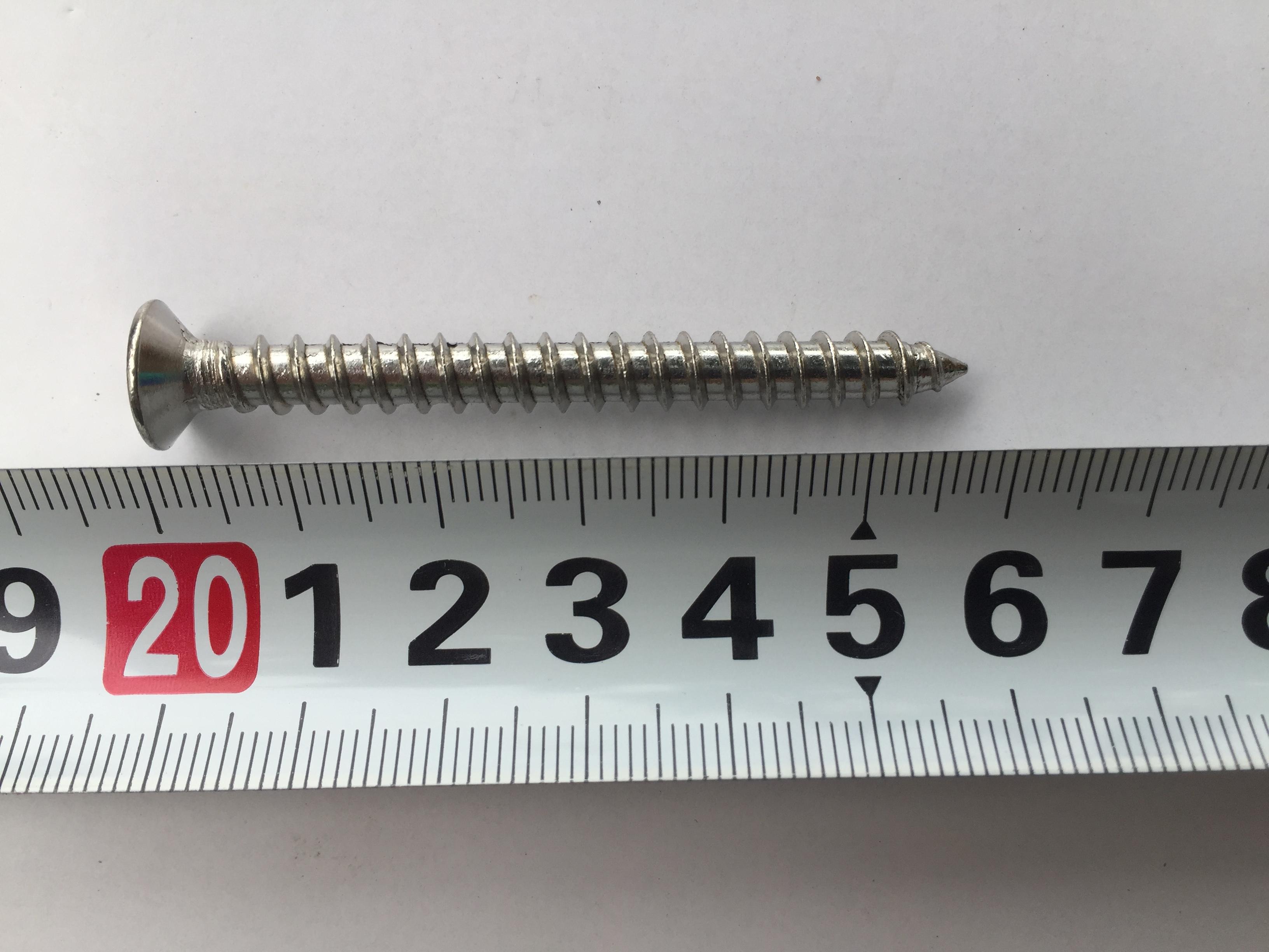 10 chiếc vít inox 304 phi 6 dài 6cm