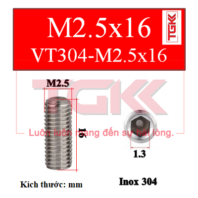 Vít trí inox 304 m2.5