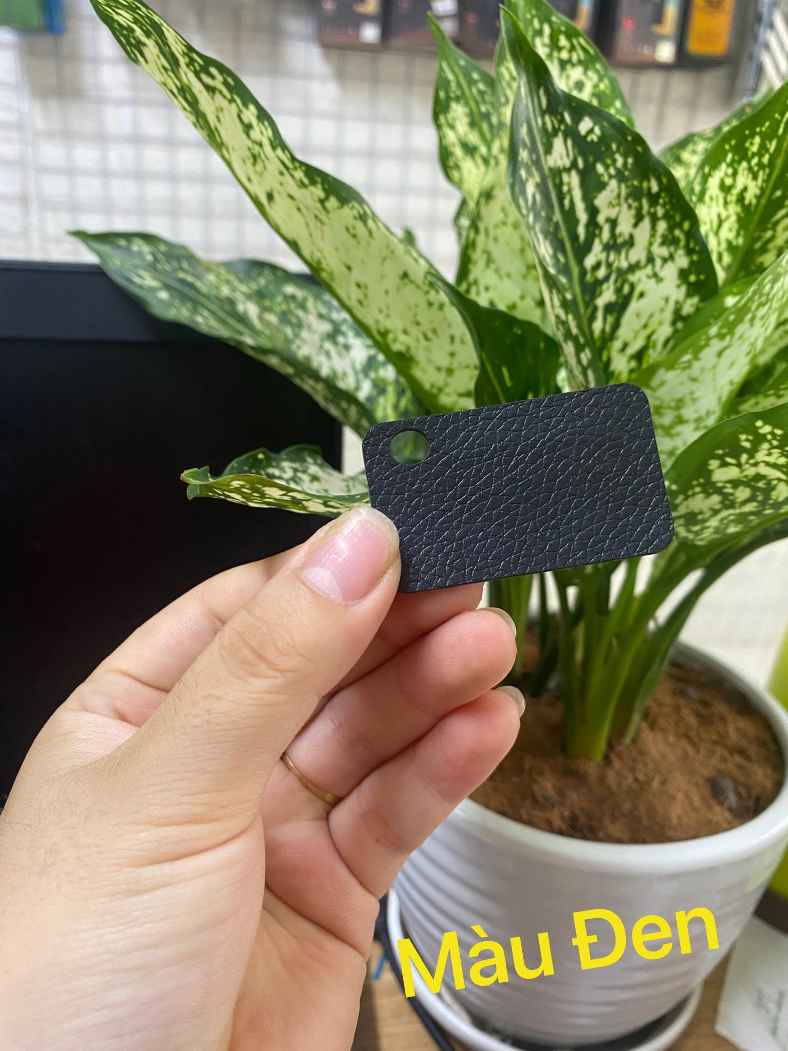Dán da blackberry passport 1,thường