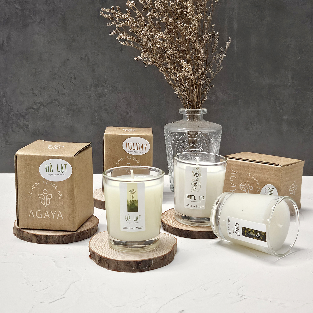 [45G MẪU MỚI] Nến Thơm Candle Cup / AGAYA Cup - Size Mini 45Gram