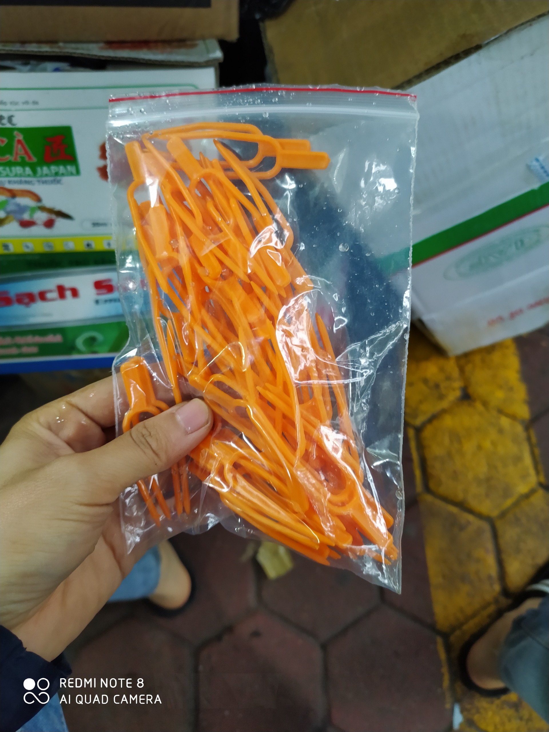 Combo 50 ghim cố định kei lan