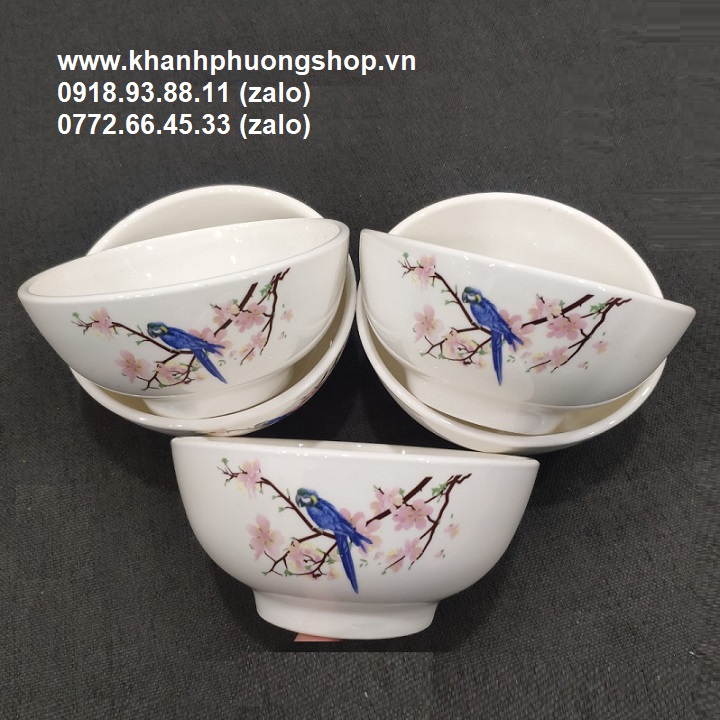 tô sứ trắng - tô sứ