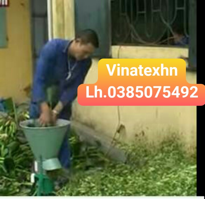 Máy băm rau muống cây bèo tây cho heo gà cá