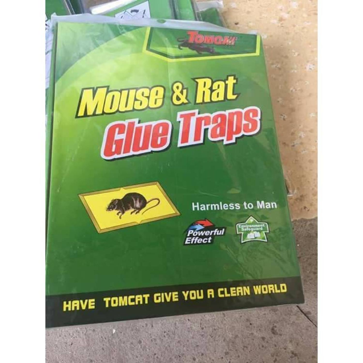 Keo bẫy chuột thần thánh