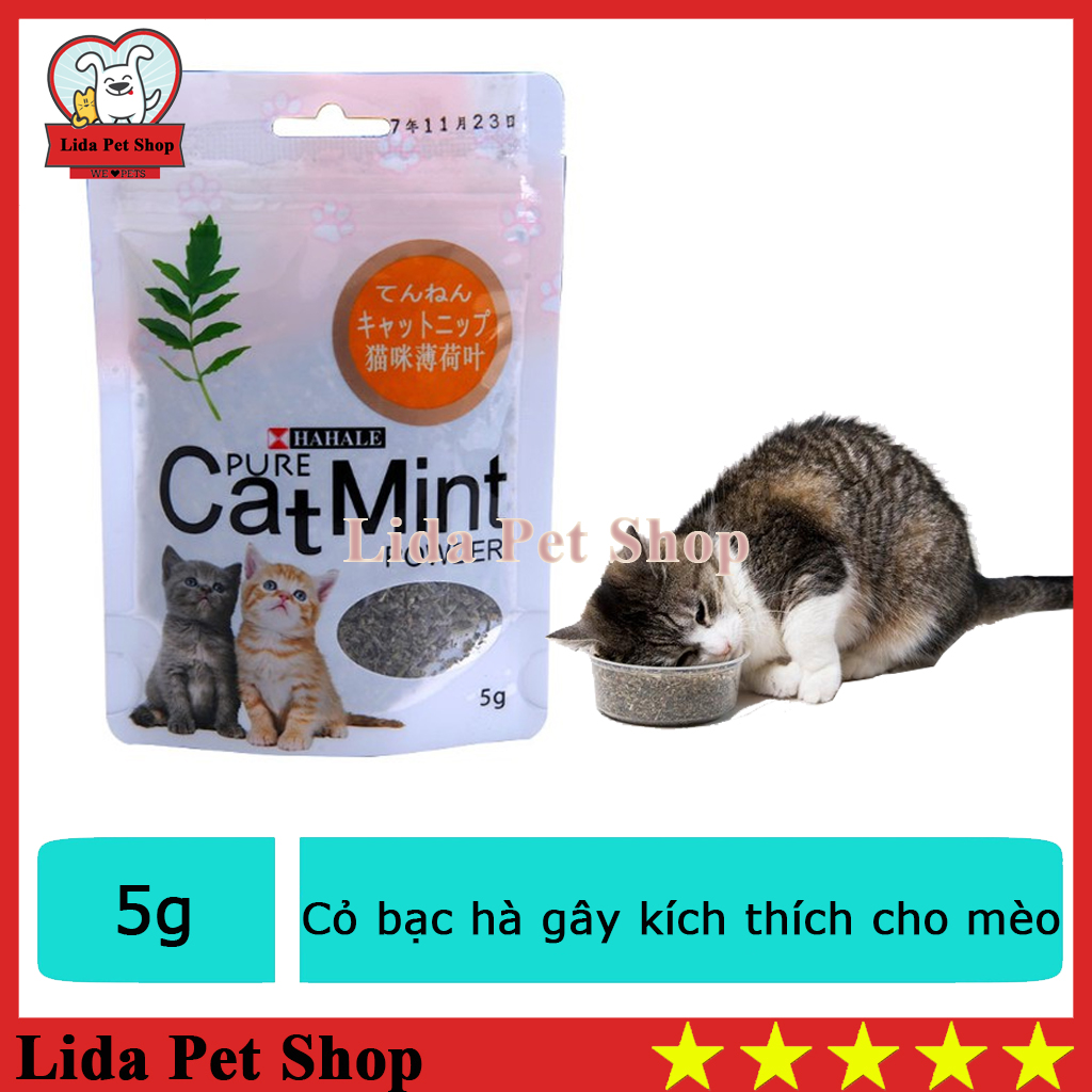 HN- Cỏ mèo (gói 5gr catmint) Đồ chơi cho mèo ngửi và gặm hạn chế búi lông tắc ruột trên mèo  tên khác- catnip mèo - bạc hà mèo gói hạt giống / tuyp cỏ mèo khô / hộp cỏ ---Phân loại