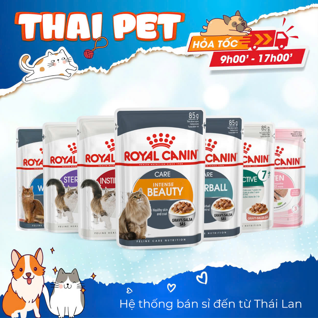 Pate ROYAL CANIN 85g