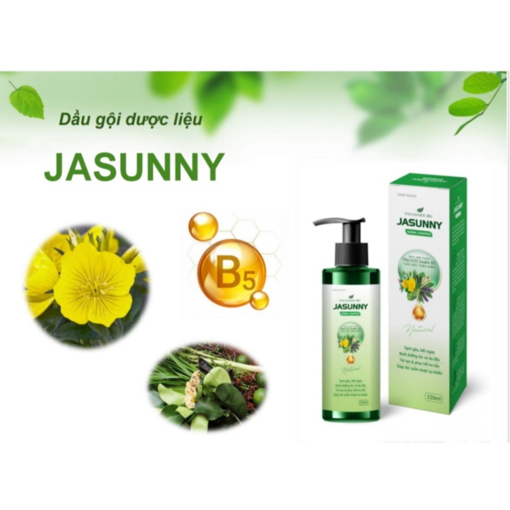 Dầu gội Dược liệu Jasunny 220ml