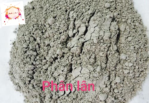 PHÂN LÂN HỮU CƠ BÓN CÂY TRỒNG(CHIẾT TỪ BAO) -250Gram