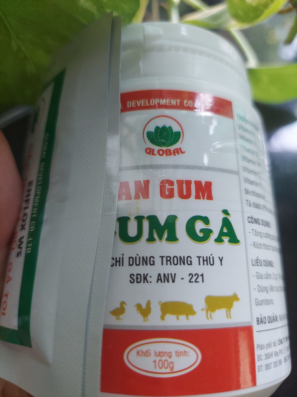 An gum