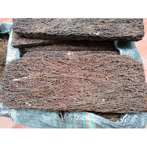 Dớn bảng trồng lan kích thước 40x15cm