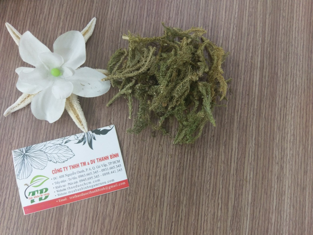 Cây Thông Đất Khô 1KG - Thảo Dược Thanh Bình