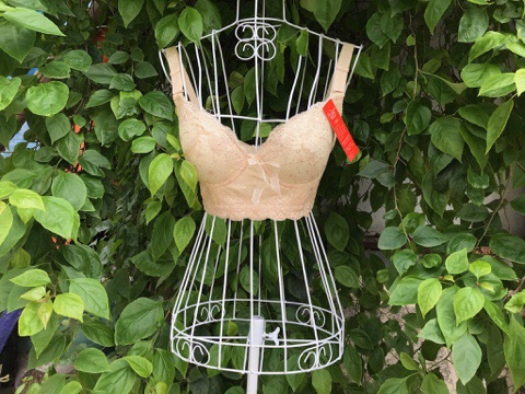 [CHÍNH HÃNG] Áo Bra Corset Giảm Mỡ Lưng