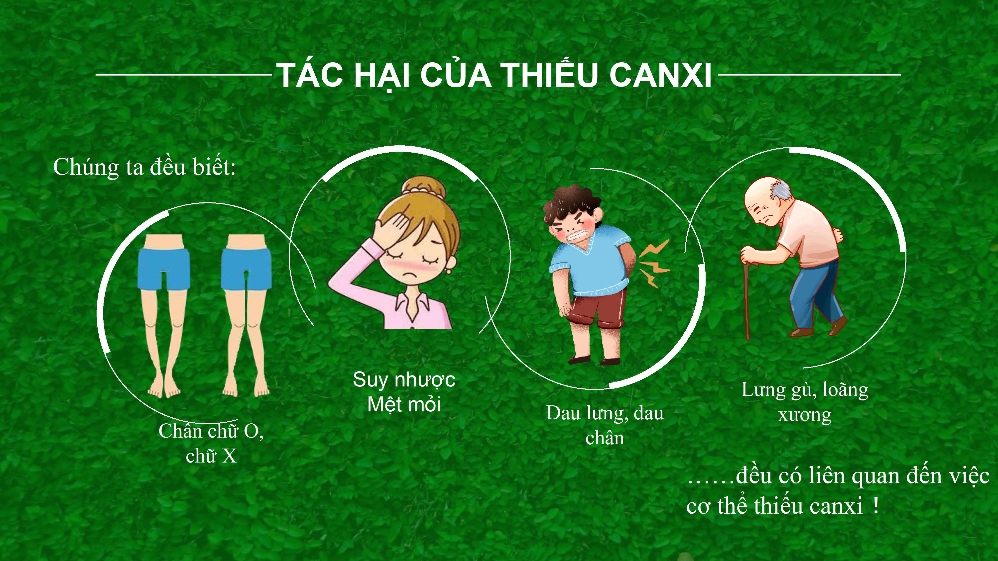 Canxi hữu cơ dạng bột hòa tan dành cho người lớn