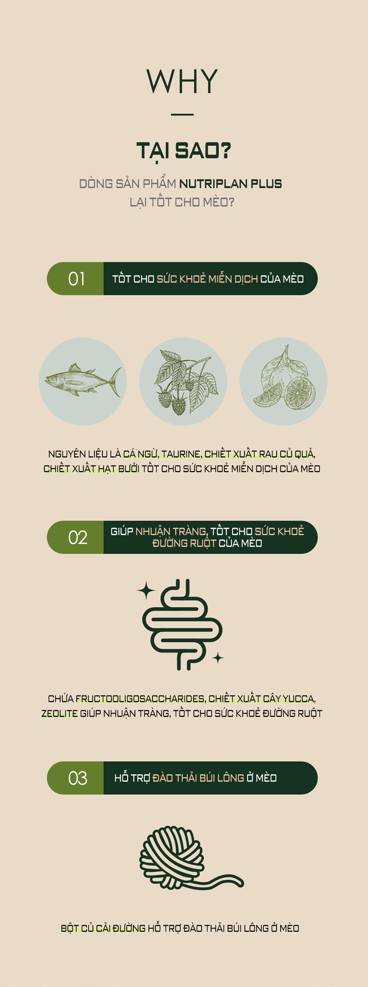 Thức ăn hạt cho mèo mọi lứa tuổi Nutri Plan All Stage