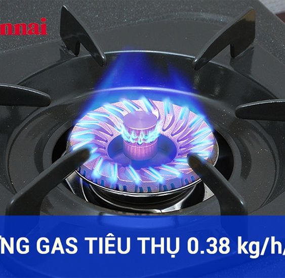 [BẾP GAS CHÍNH HÃNG]Bếp ga đôi để bàn Rinnai RV-375(G)N