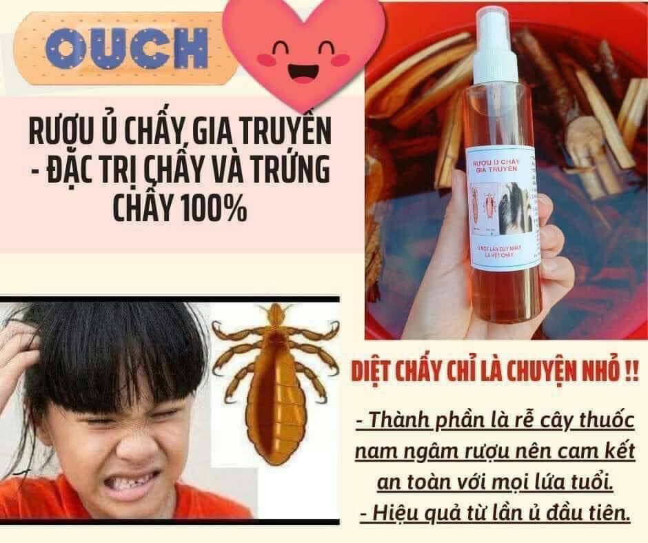 Trị chấy chí thảo dược. hết chấy chí chỉ với 1 lần sử dụng. dầu gội trị chấy. thuốc trị chí. thuốc trị chấy mh14