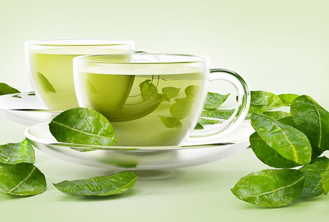 TRÀ BẠC HÀ HỮU CƠ TÚI LỌC FITO (20 TÚI LỌC)
