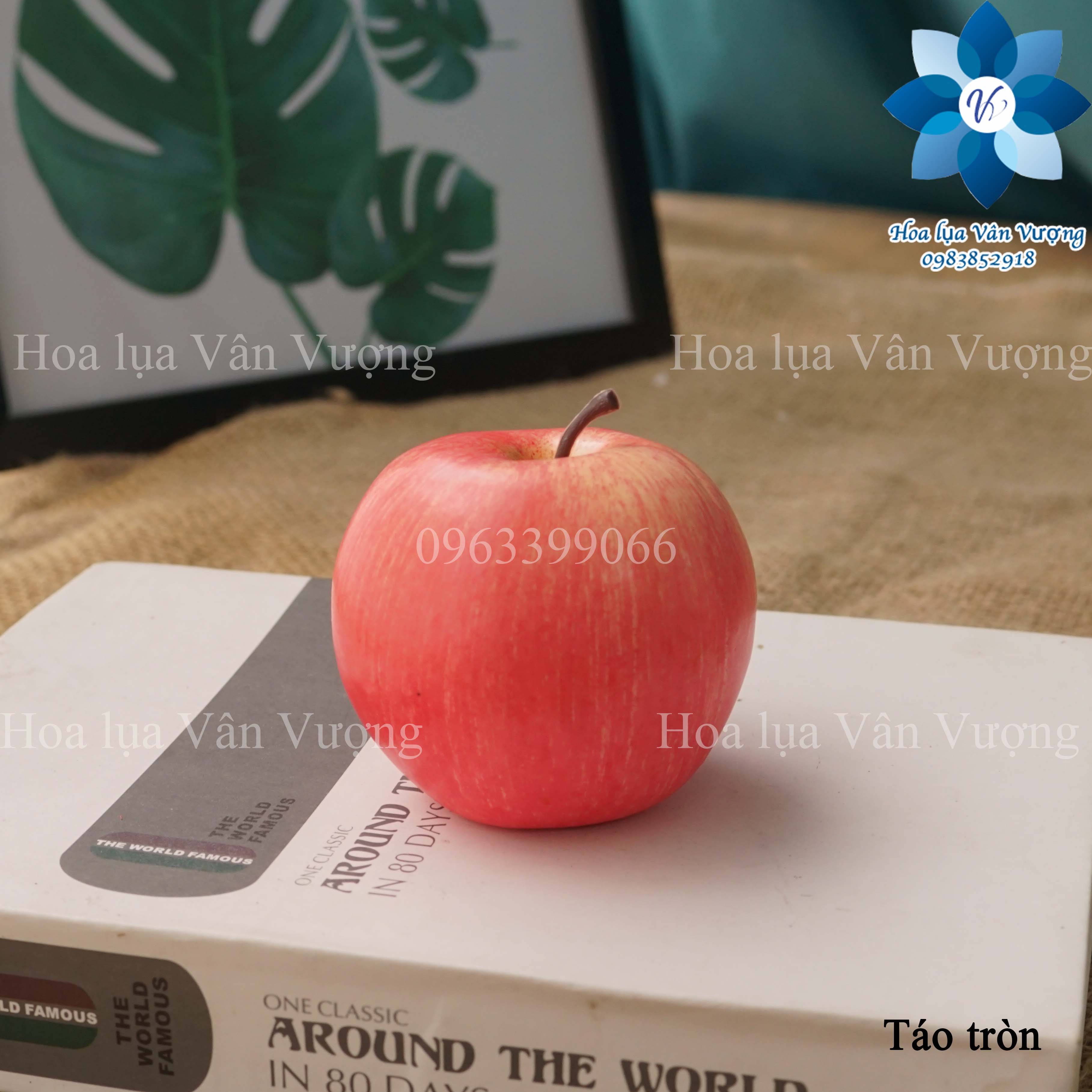 Trái Cây Giả, Quả Giả Giống Thậtt