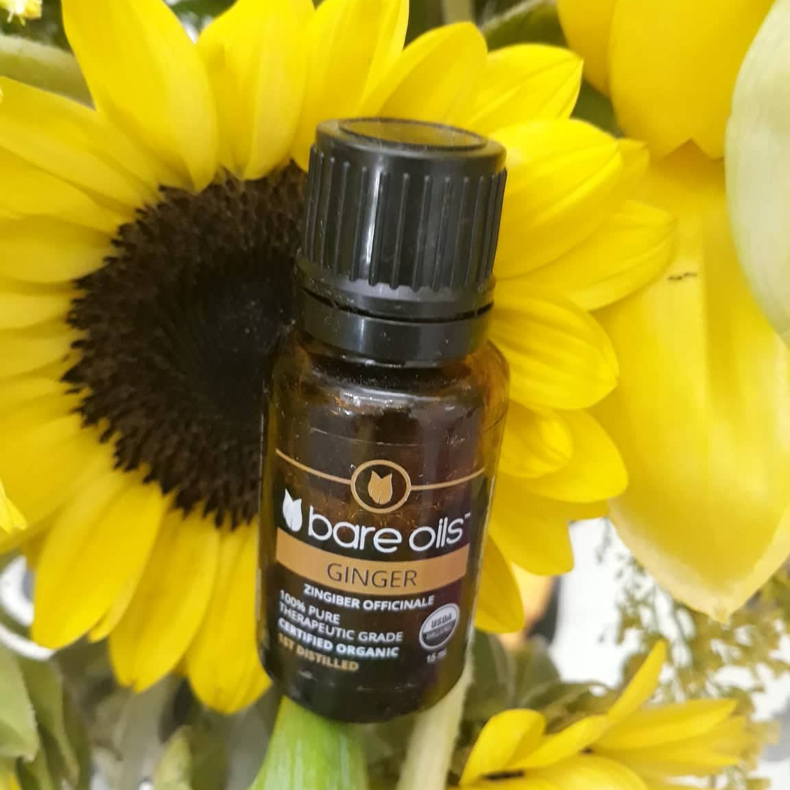 Tinh dầu gừng - Ginger Essential Oil (Tinh dầu hữu cơ Bare Oils - USDA Organic) 15ml