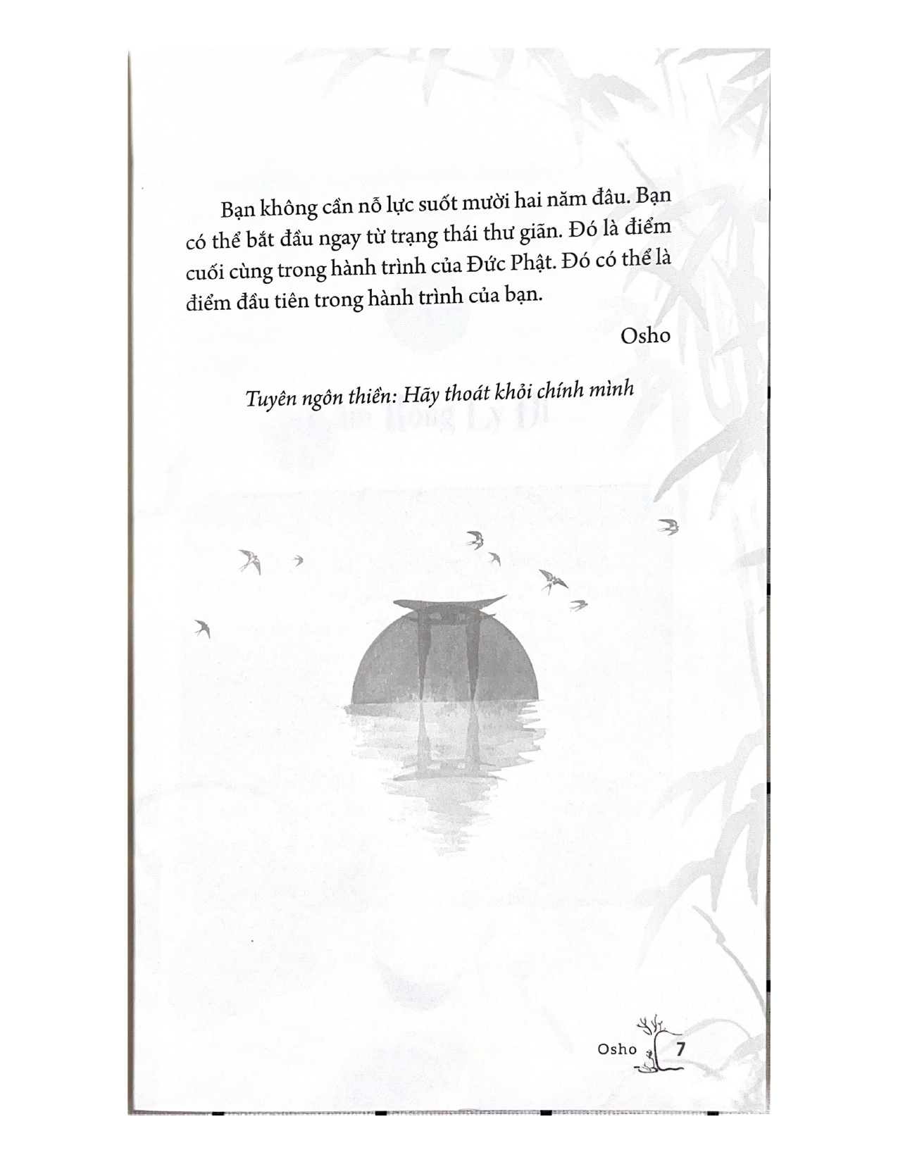 Sách - Osho - Như chim sải cánh-Vanlangbooks