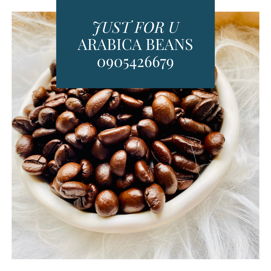 Cà phê hạt Arabica rang mộc nguyên chất
