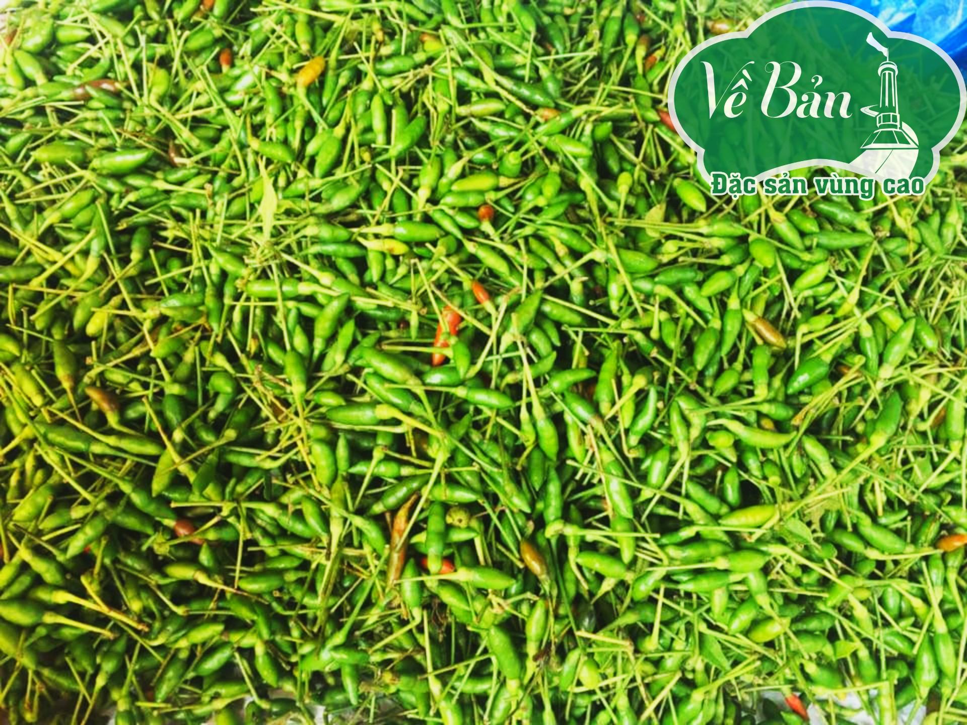 ỚT GIÓ NGÂM CAO NGUYÊN ĐÁ HÀ GIANG 100GR