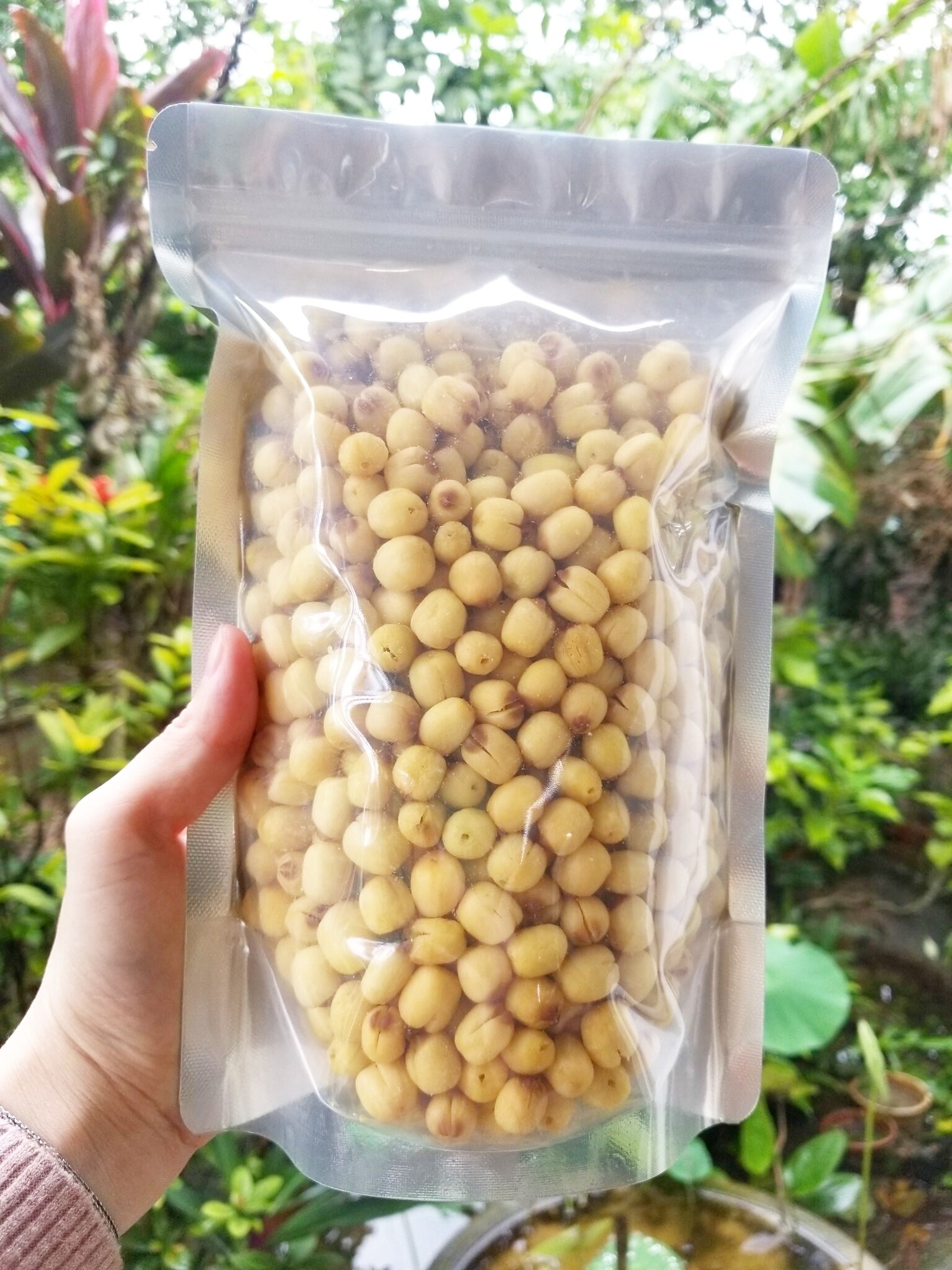 Hạt Sen Sấy Khô  Bếp của Mẹ Onici