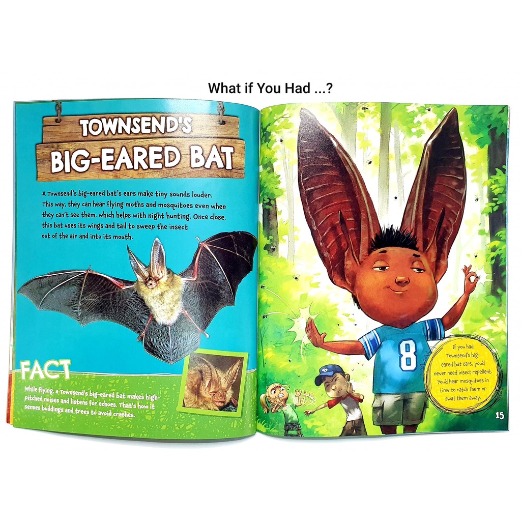 Bộ nhập 9q - What If You Had Animal