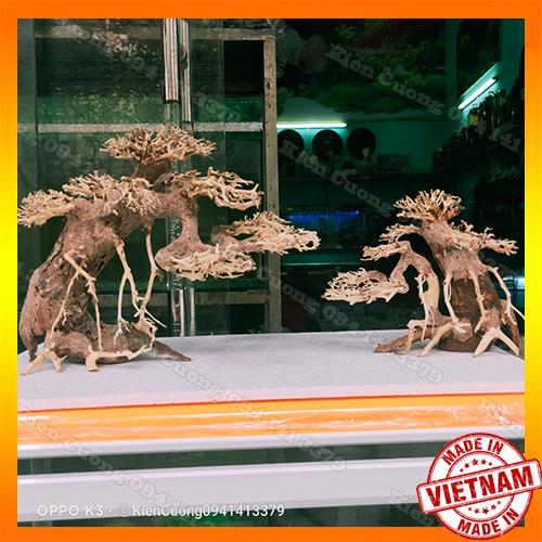 Cây gỗ lũa thủy sinh dùng cho bể cá cảnh, gỗ lúa cao cấp (Mẫu 13)