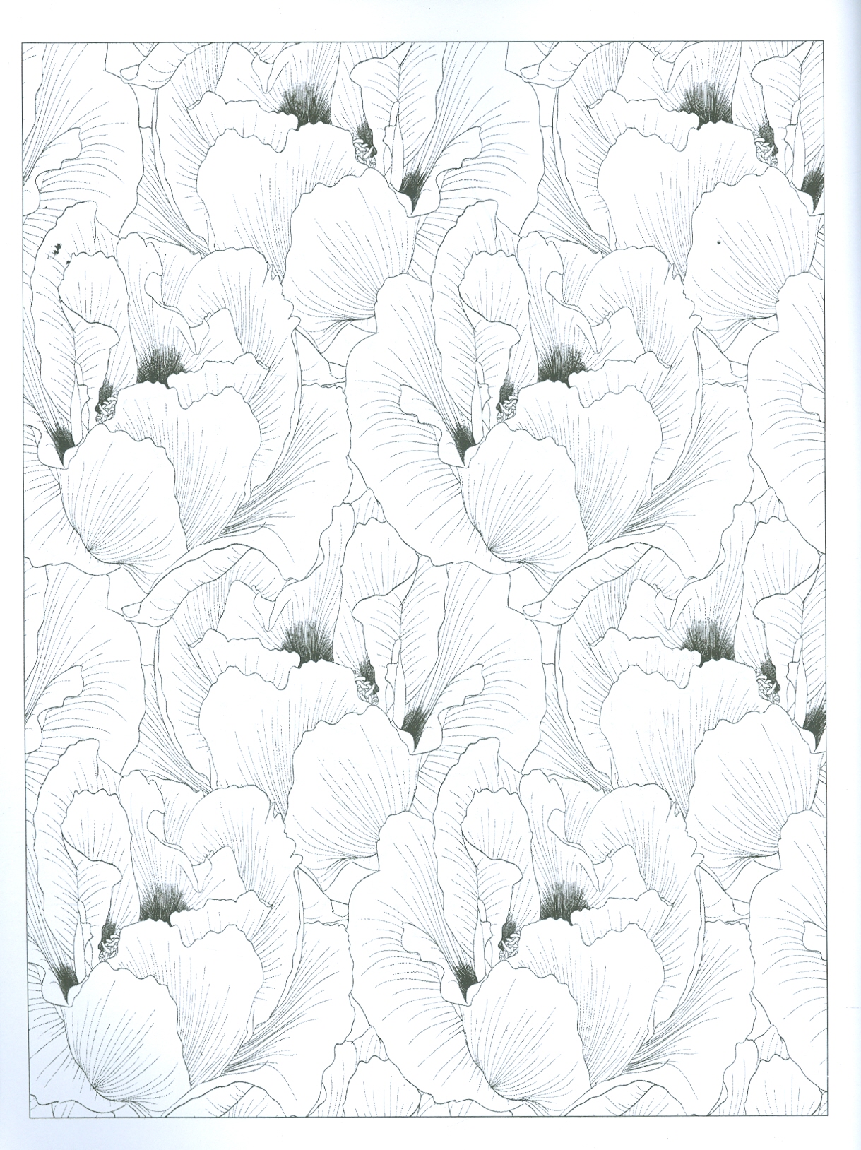 Calm & Colour Floral (Sách tô màu - Các loài hoa)