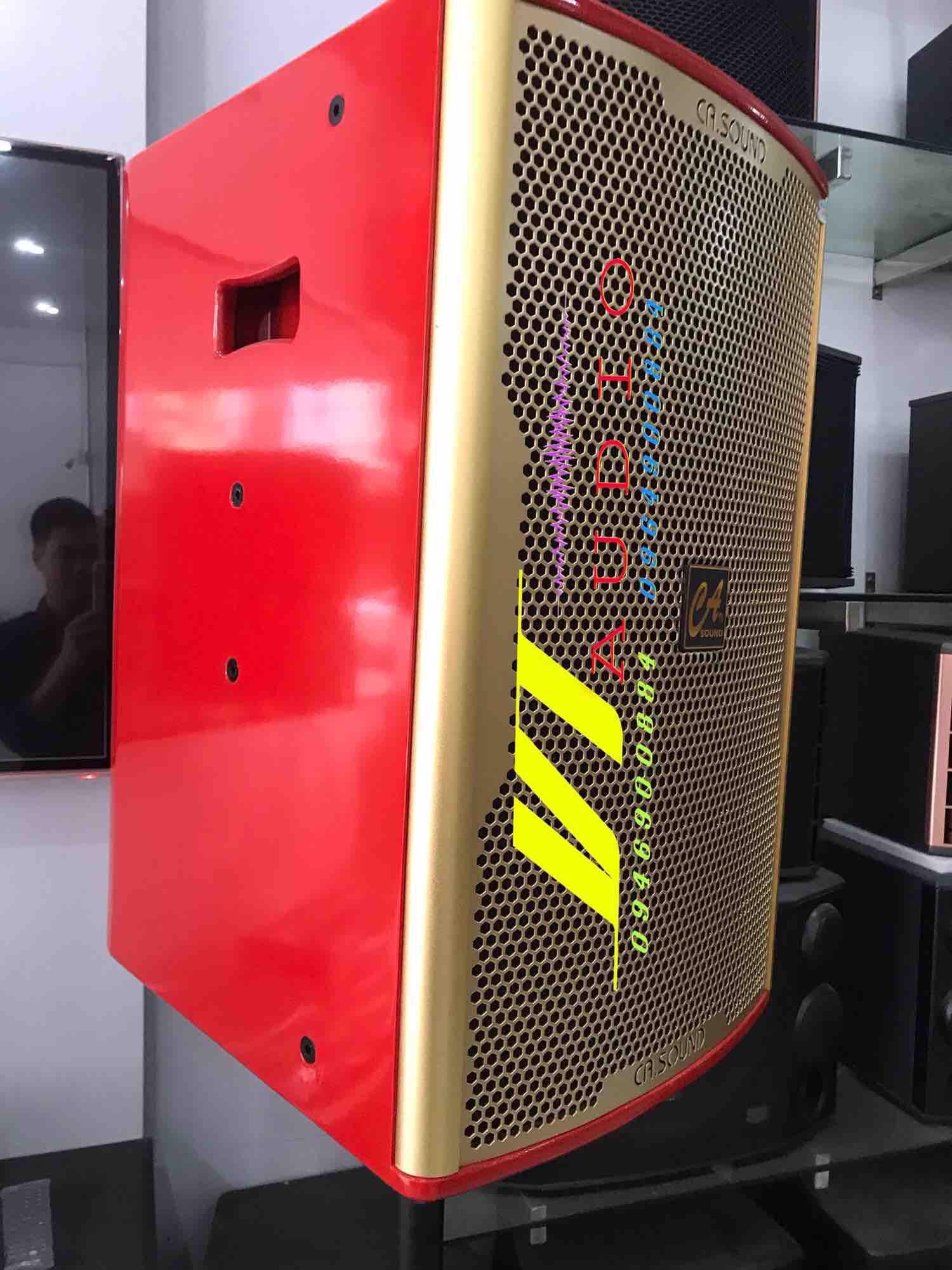 Loa CA Sound F-812