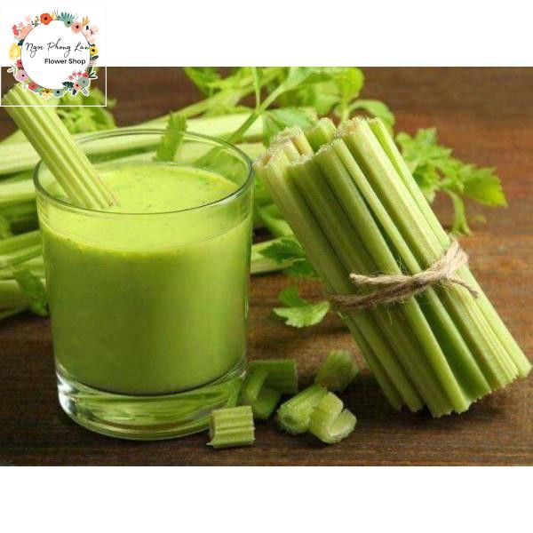 Hạt Giống Rau Cần Lá Xanh (Cần Tây) - Gói 10 Gram