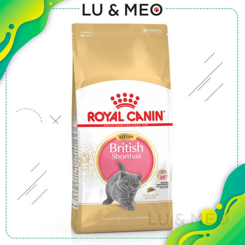Thức ăn hạt cho mèo con Anh lông ngắn Royal Canin British Shorthair Kitten, 2kg, giàu và phù hợp dinh dưỡng cho mèo Anh