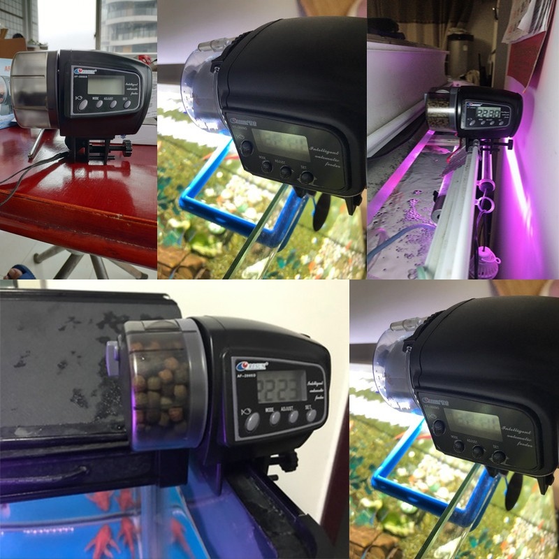 ┇❒☾  Máy cho cá ăn tự động Auto Feeder AF2009D