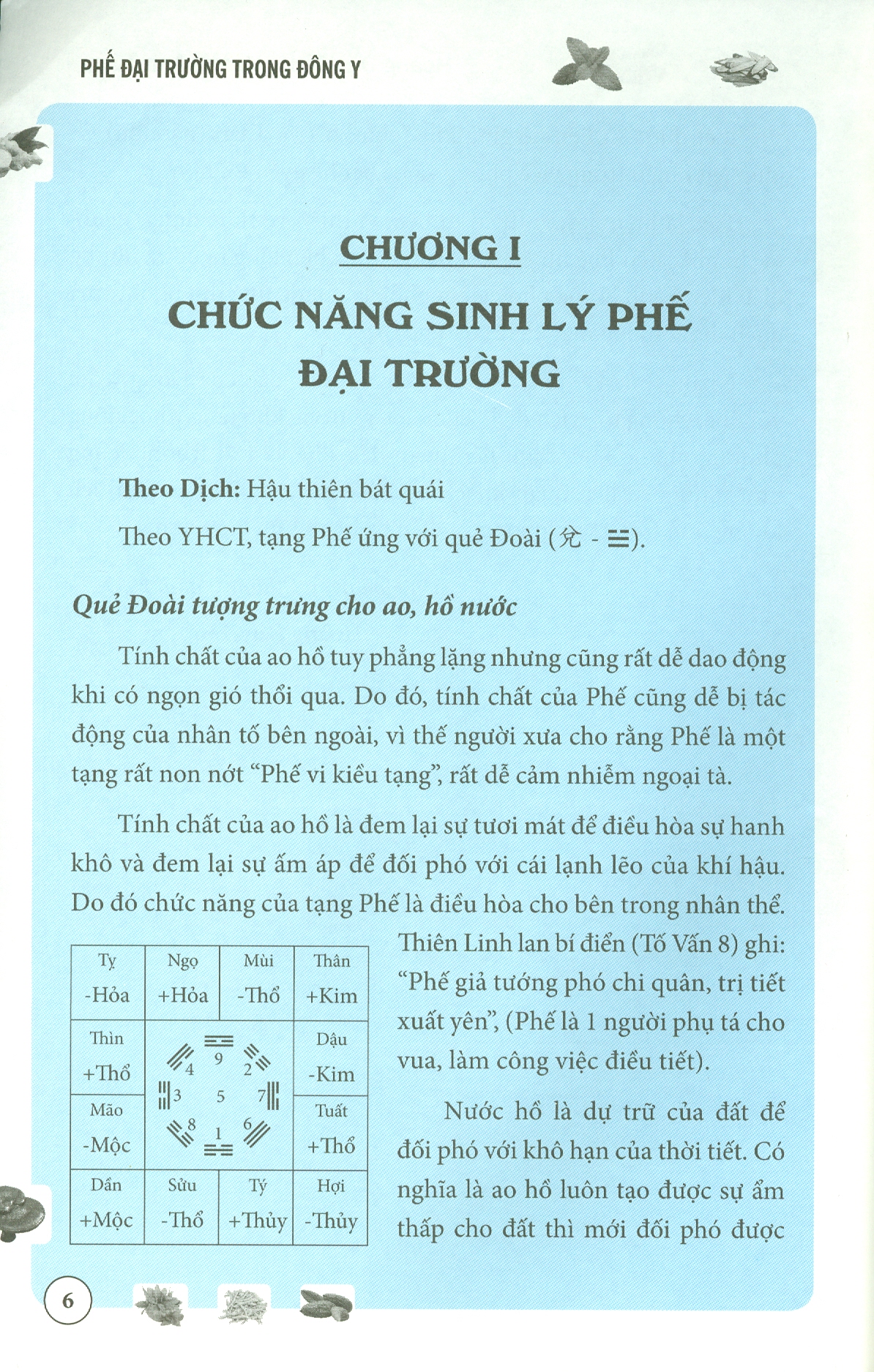 Phế Đại Trường Trong Đông Y
