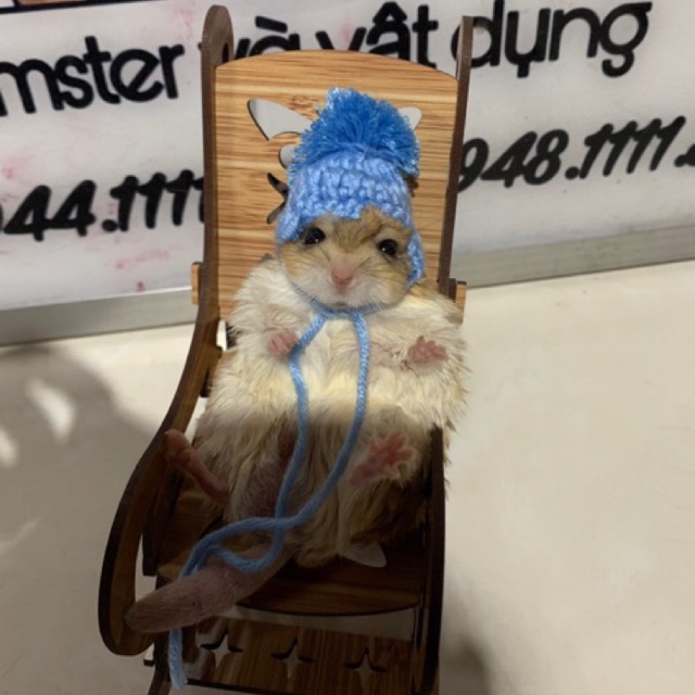 Nón cho hamster - Có dây buộc