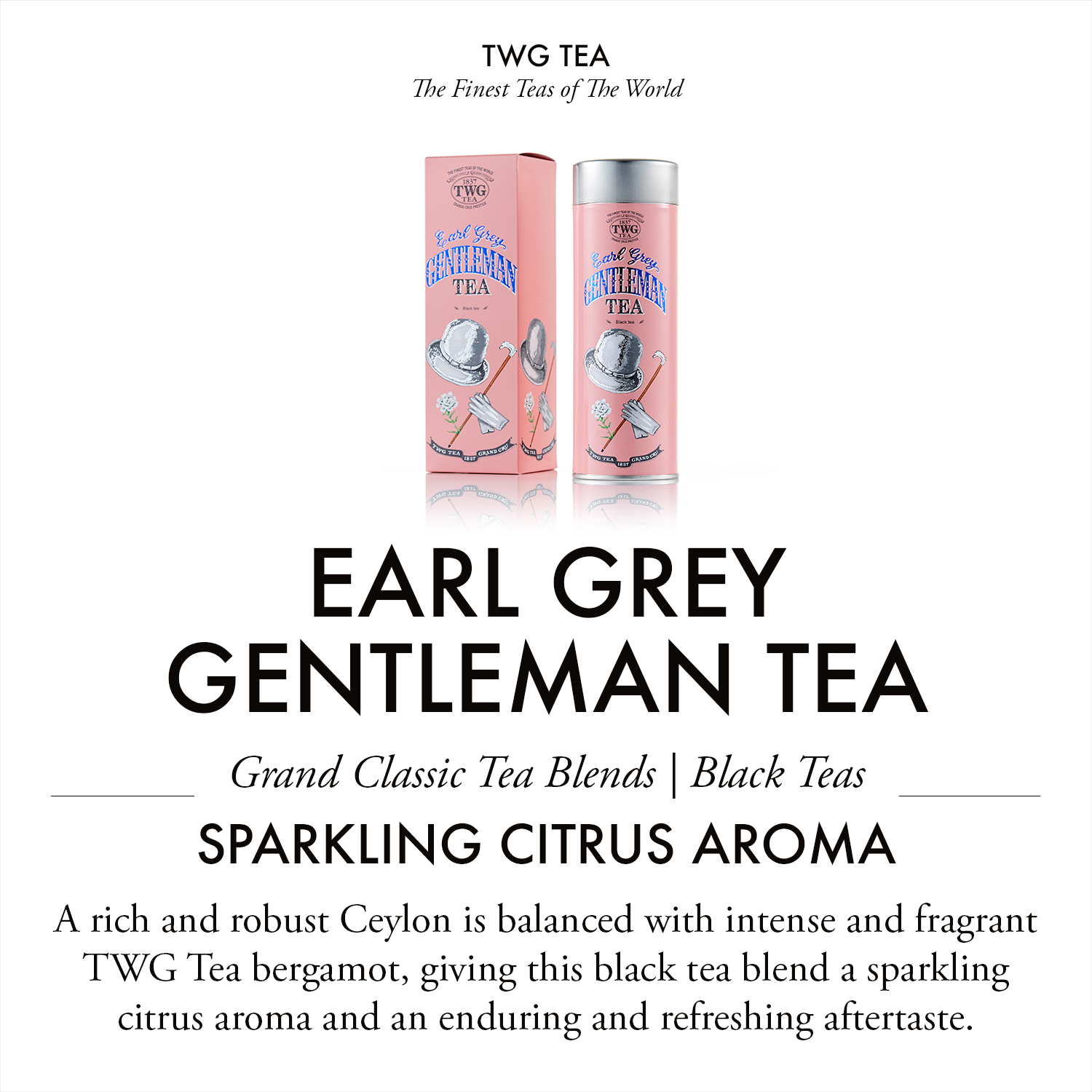 TWG Tea - Earl Grey Gentlement (100g) | Black Tea