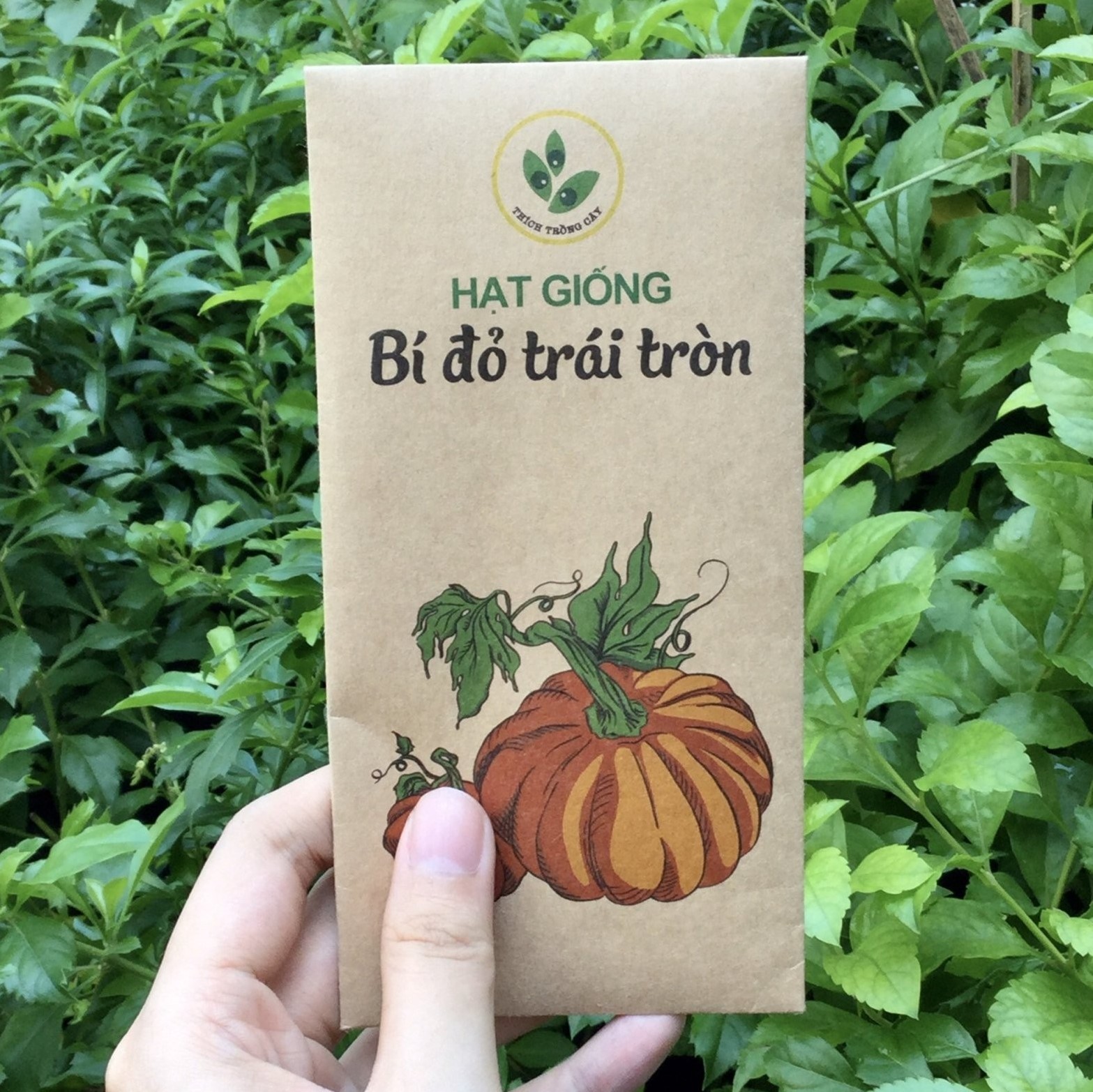 Hạt giống Bí đỏ trái tròn (10 hạt/bịch)