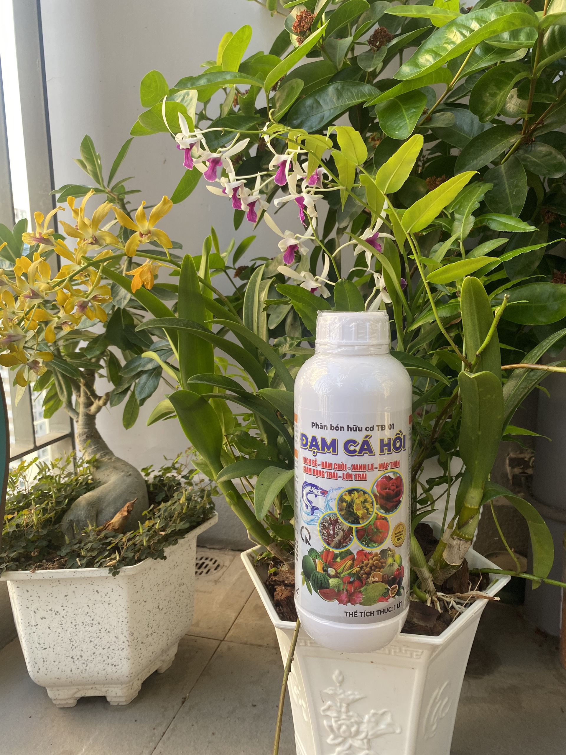 Phân bón Đạm Cá Hồi Can 5 lít - 1 lít - 500ml