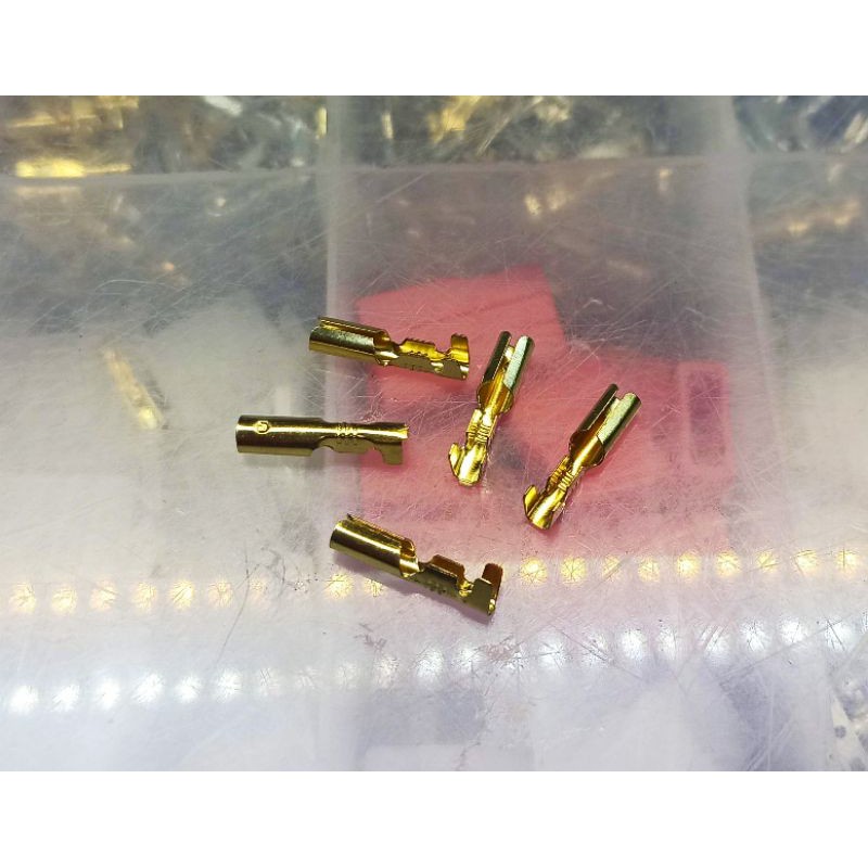 💥💥Freeship 💥💥 [HCM]Cos Đầu Đạn 4.0 Đực Cái (50 cos)