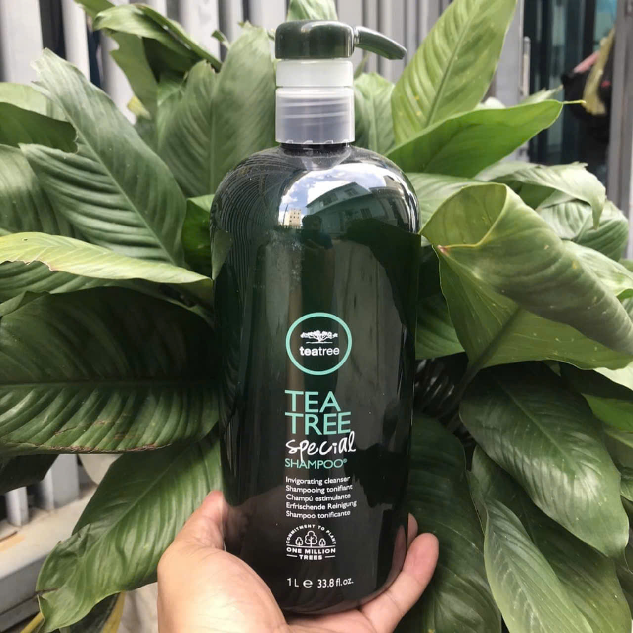 DẦU GỘI XẢ TRÀ XANH BẠC HÀ HỖ TRỢ TRỊI GÀU 1000ML, KHÁNG KHUẨN PAUL MITCHELL TEA TREE USA1000ml